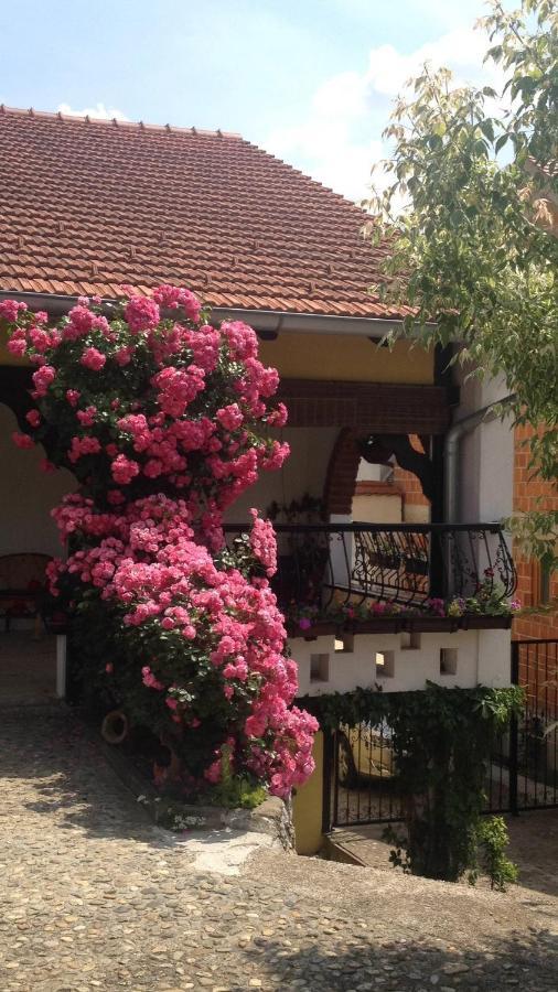 Apartments Dajcic Varazdinske Toplice Ngoại thất bức ảnh