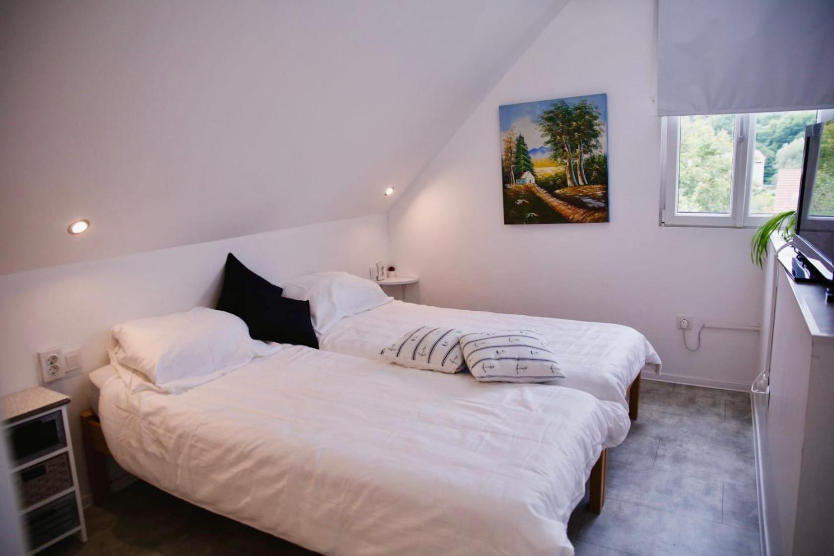 Apartments Dajcic Varazdinske Toplice Ngoại thất bức ảnh