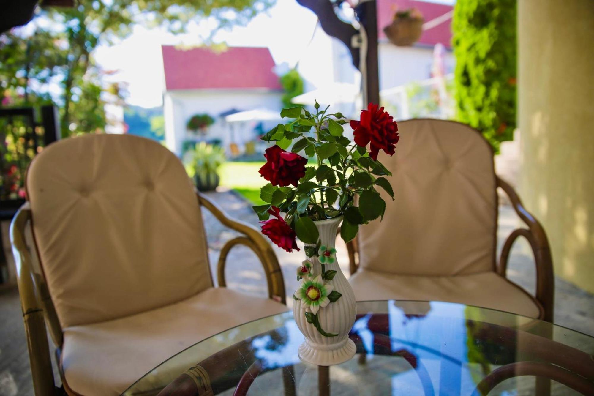 Apartments Dajcic Varazdinske Toplice Ngoại thất bức ảnh